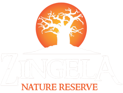 Zingela Nature Reserve